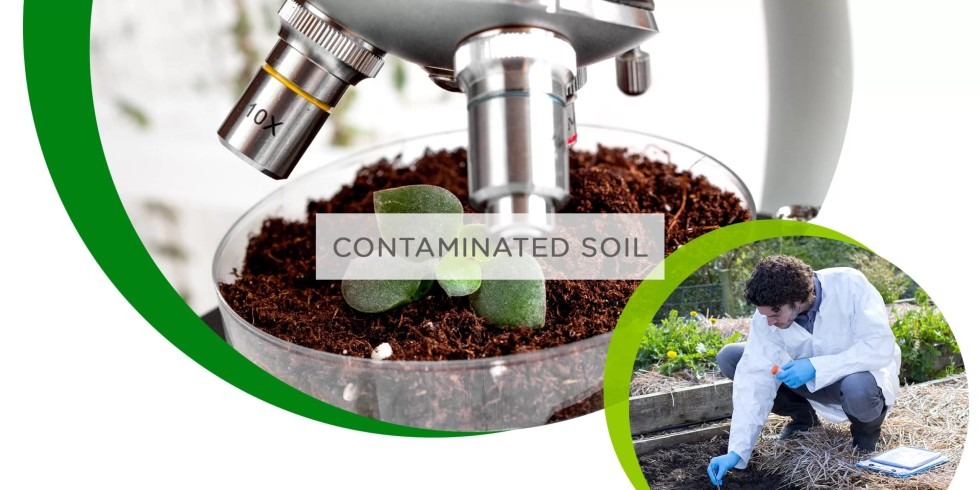 CONTAMINATED SOIL CONTAMINATED SOIL